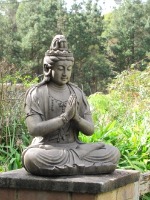 buddha1.jpg